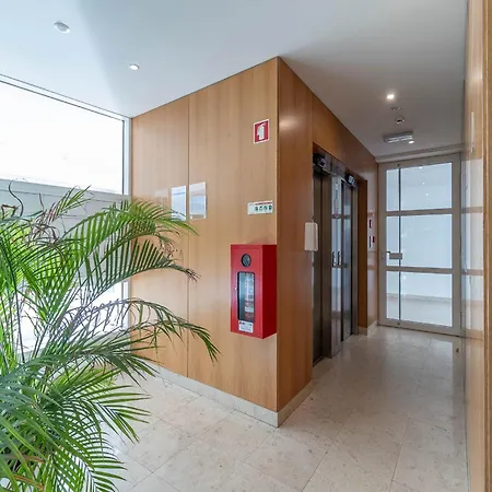 Akicity Jamor Lyra *