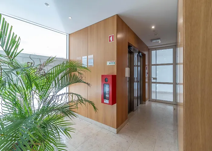 Akicity Jamor Lyra *